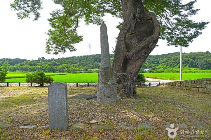 백암리남근석 여행 추천 - 메고지고