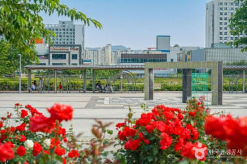 무덤덤투어(더휴앤) 여행 추천 - 메고지고