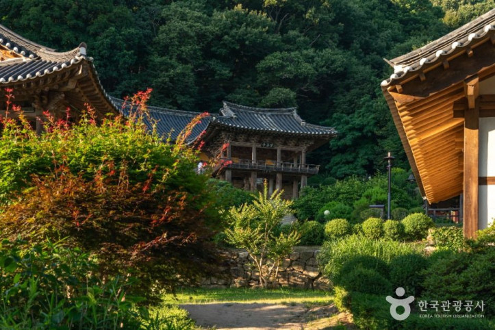 부석사 [유네스코 세계유산] 여행 추천 - 메고지고