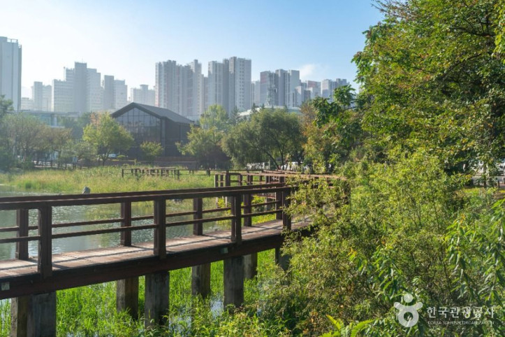 호암지 여행 추천 - 메고지고