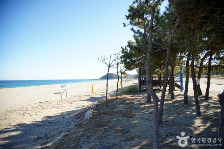 하맹방해변 여행 추천 - 메고지고