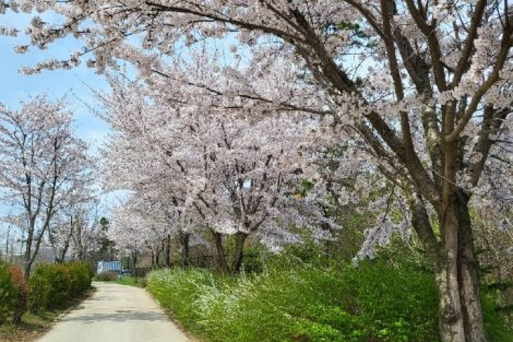 바다향기수목원 여행 추천 - 메고지고