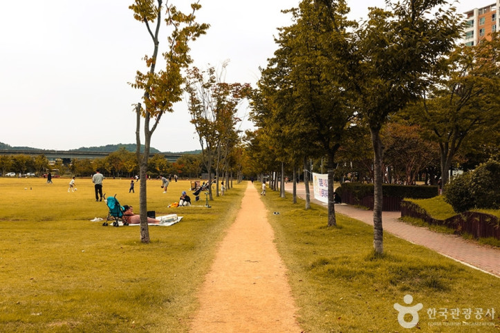 율하체육공원 여행 추천 - 메고지고