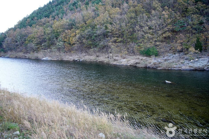 남대천(강릉) 여행 추천 - 메고지고
