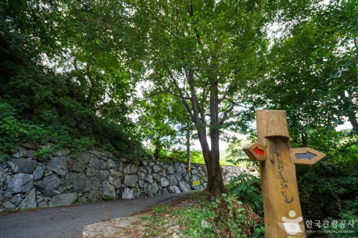 관점마을 여행 추천 - 메고지고