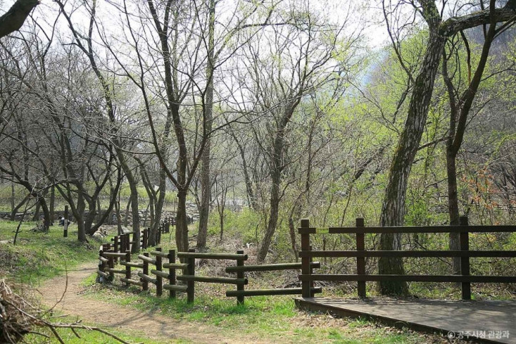 금학생태공원 여행 추천 - 메고지고