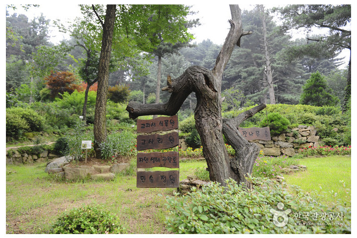 장흥자생수목원 여행 추천 - 메고지고