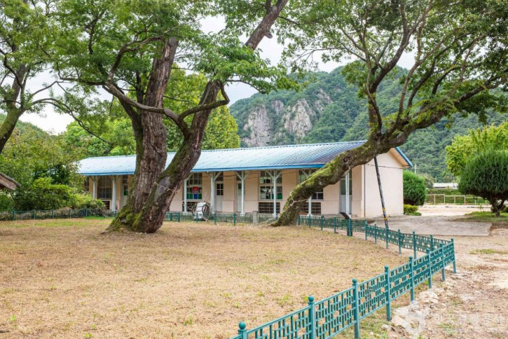 안동 송사동 소태나무 여행 추천 - 메고지고