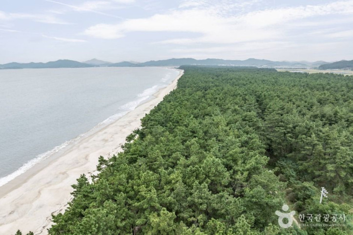 우전해수욕장 여행 추천 - 메고지고