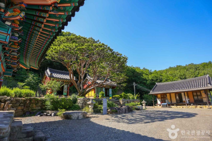 신흥사(군위) 여행 추천 - 메고지고