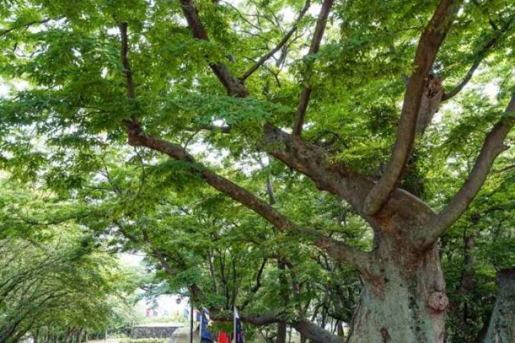 사천읍성 여행 추천 - 메고지고