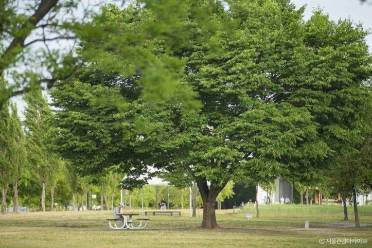 양화한강공원 여행 추천 - 메고지고