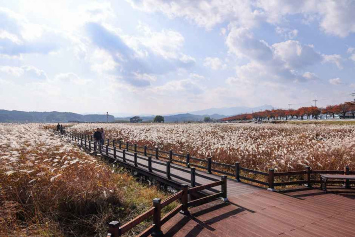 남대천연어생태공원 여행 추천 - 메고지고