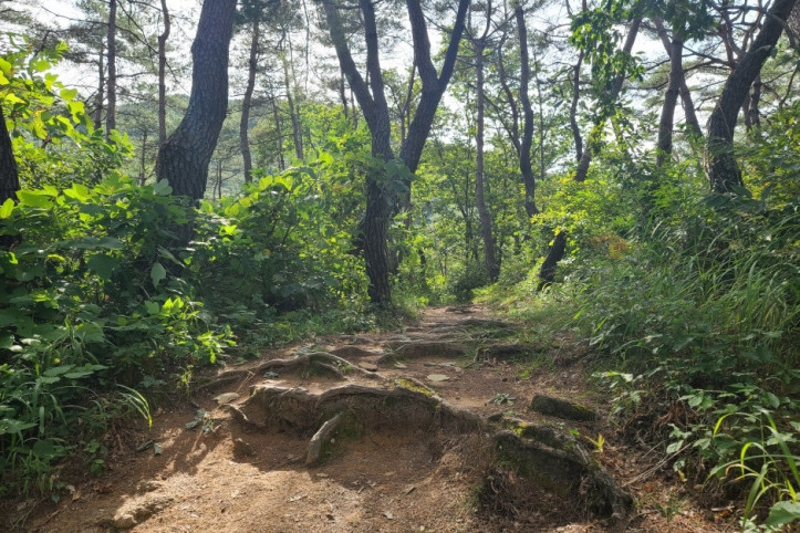 요선정·요선암 여행 추천 - 메고지고