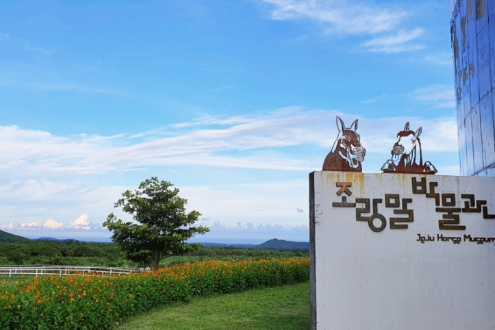 조랑말체험공원 여행 추천 - 메고지고