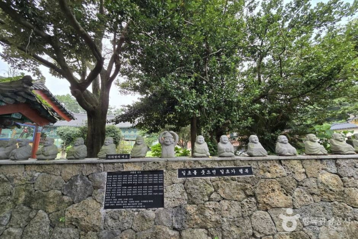 선광사(제주) 여행 추천 - 메고지고