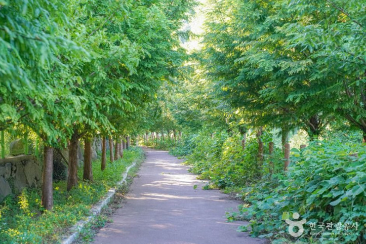 진례저수지 여행 추천 - 메고지고