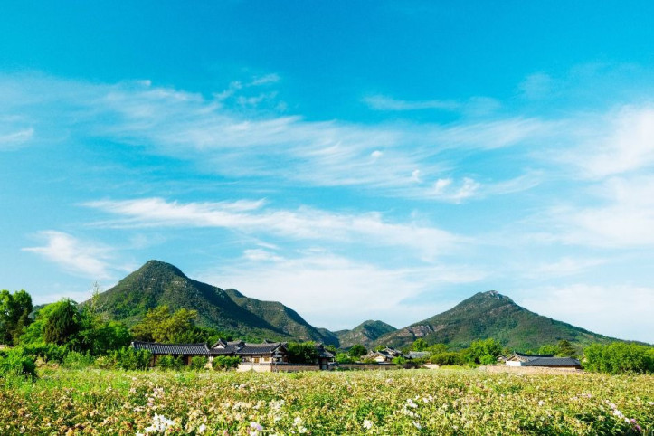 금성산·비봉산(의성) 여행 추천 - 메고지고