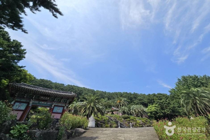 보림사(제주) 여행 추천 - 메고지고