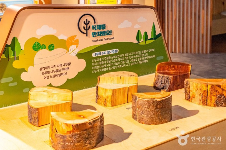 예천 목재문화체험장 여행 추천 - 메고지고