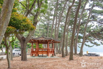 거금생태숲 여행 추천 - 메고지고