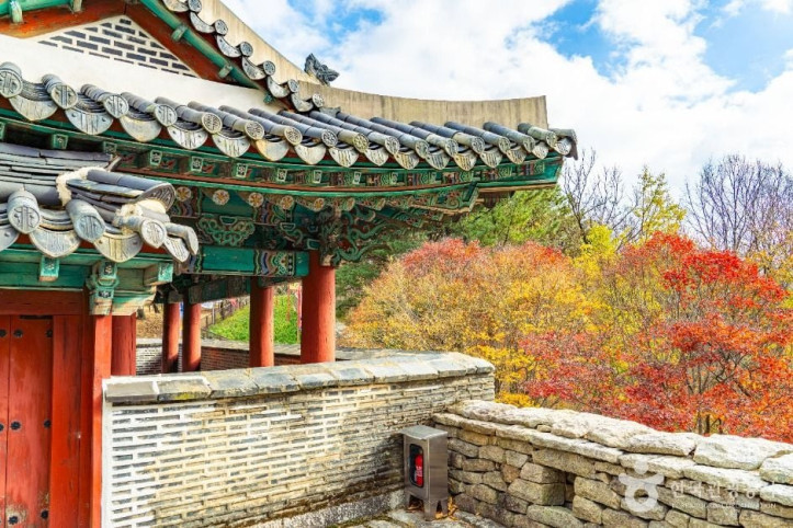 금정산 여행 추천 - 메고지고