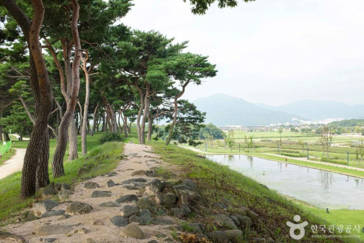 월성이랑 여행 추천 - 메고지고
