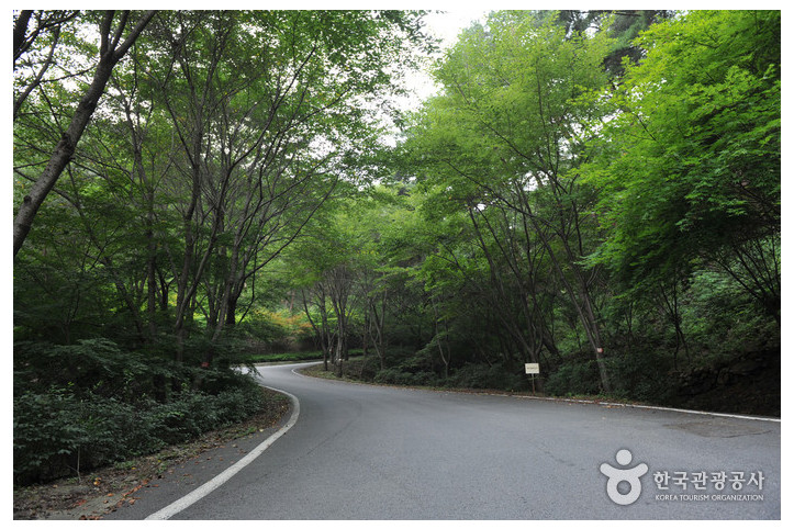백아산 여행 추천 - 메고지고