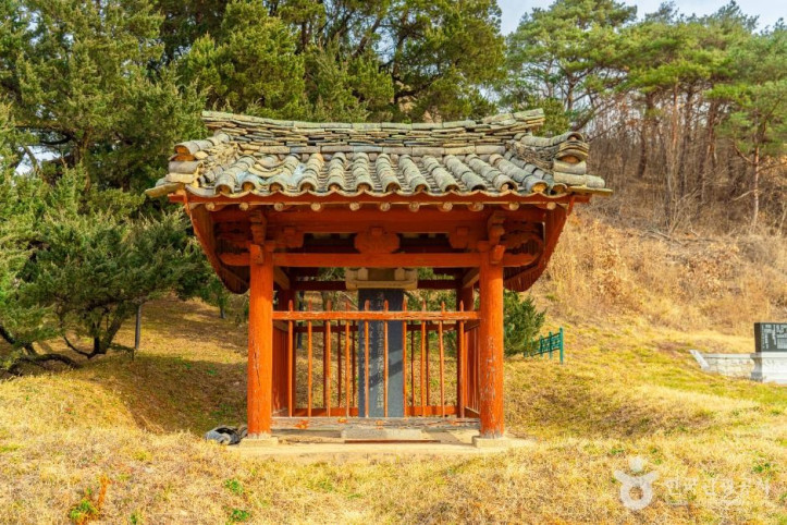 청송 장전리 향나무 여행 추천 - 메고지고