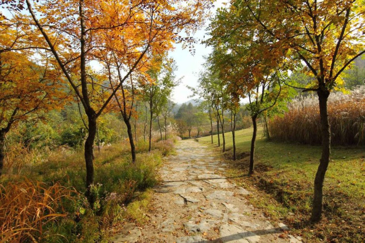 국립한국자생식물원 여행 추천 - 메고지고