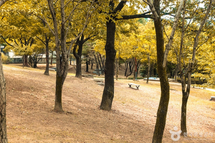 신암공원 여행 추천 - 메고지고