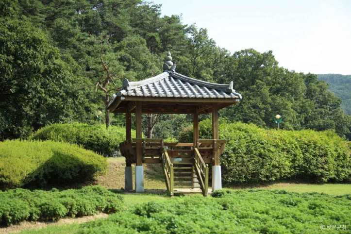 속리산연꽃단지 여행 추천 - 메고지고