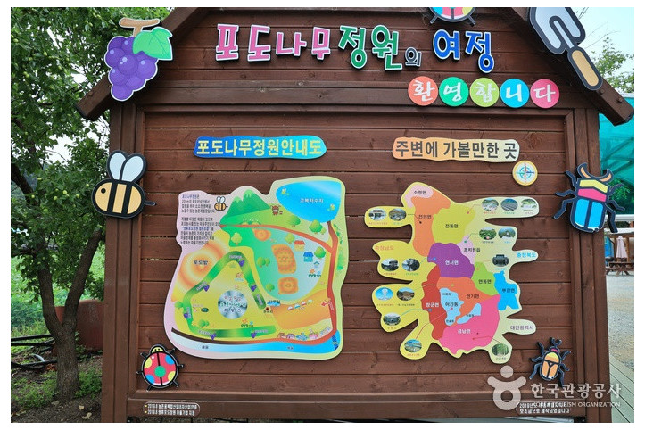 쌍류포도정원협동조합 여행 추천 - 메고지고