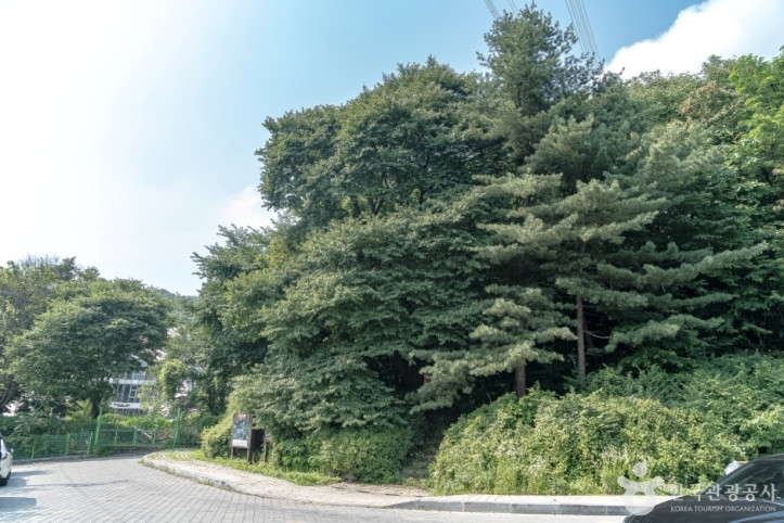 광교산체육공원 여행 추천 - 메고지고