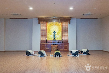 테라피 스파 소베 여행 추천 - 메고지고