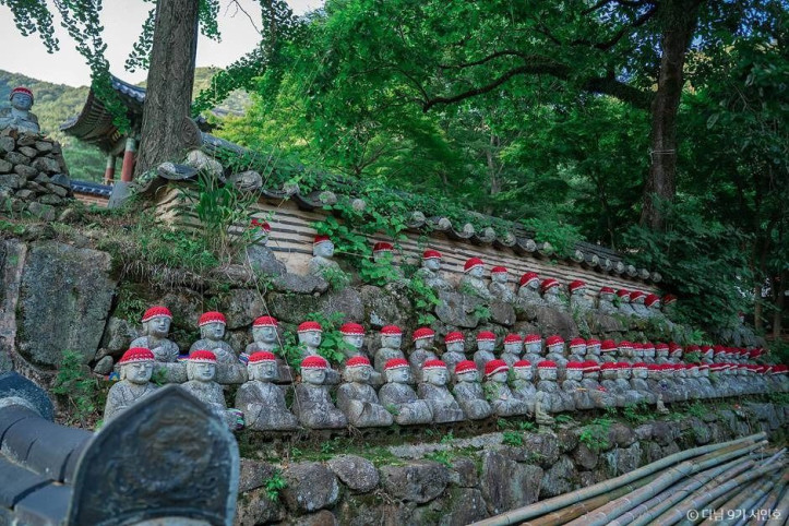대원사(보성) 여행 추천 - 메고지고