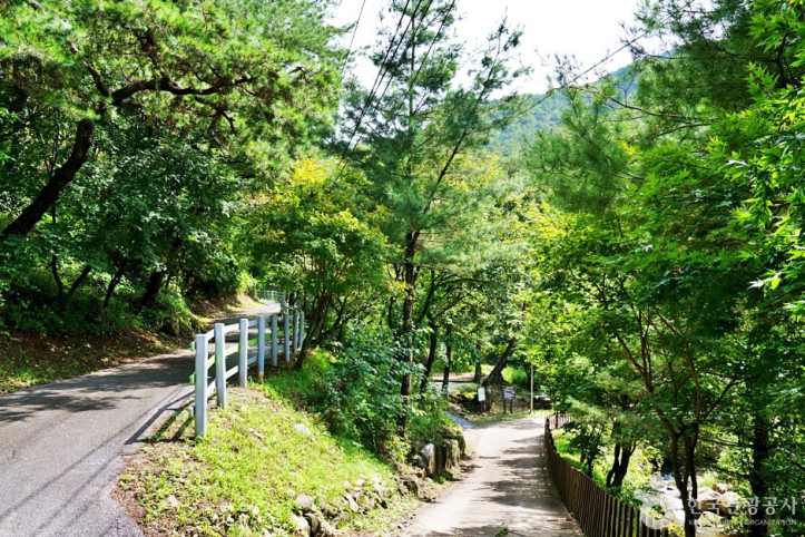 박달재자연휴양림 여행 추천 - 메고지고