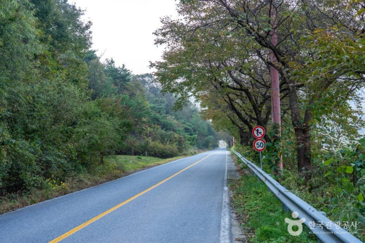[청풍호자드락길 5코스] 옥순봉길 여행 추천 - 메고지고