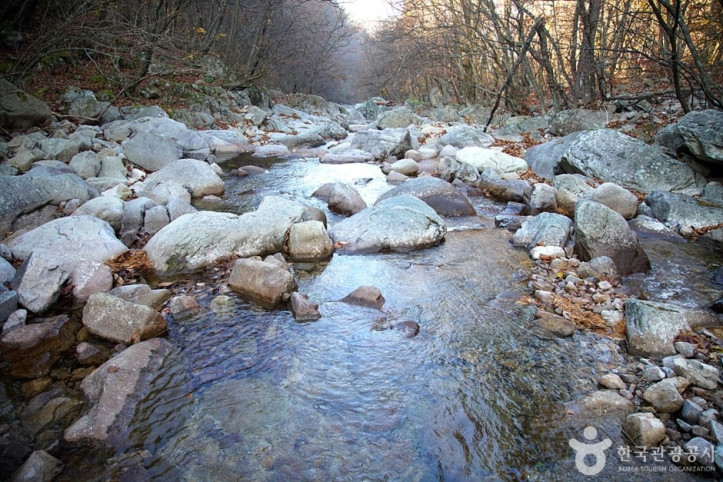 미시령계곡 여행 추천 - 메고지고