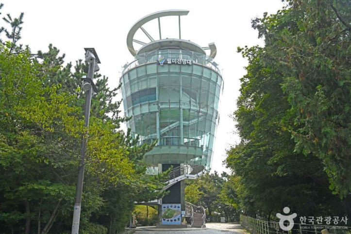 월미산유리전망대 여행 추천 - 메고지고