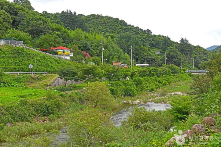 백학동마을 여행 추천 - 메고지고