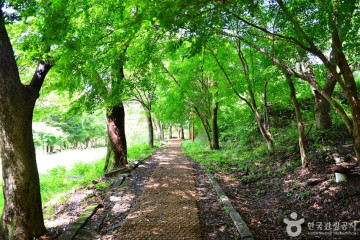 운암서원(광주) 여행 추천 - 메고지고