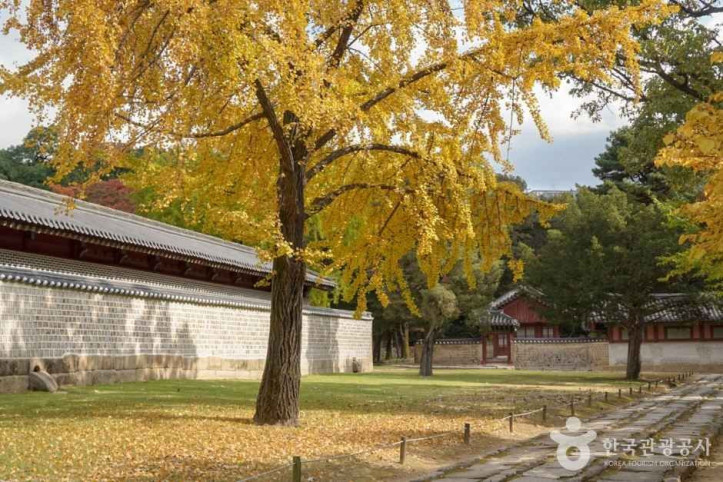 종묘 [유네스코 세계유산] 여행 추천 - 메고지고