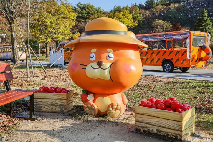 국립백두대간수목원 여행 추천 - 메고지고