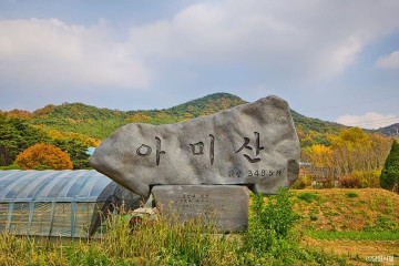 당진천 벚꽃길 여행 추천 - 메고지고