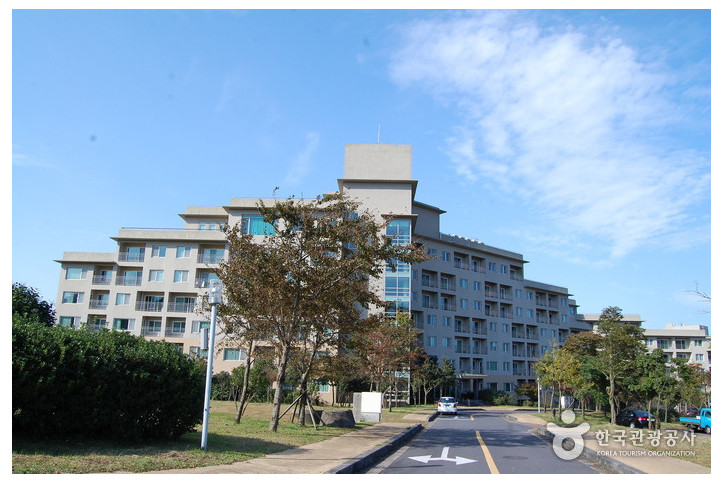 한화리조트 제주 여행 추천 - 메고지고