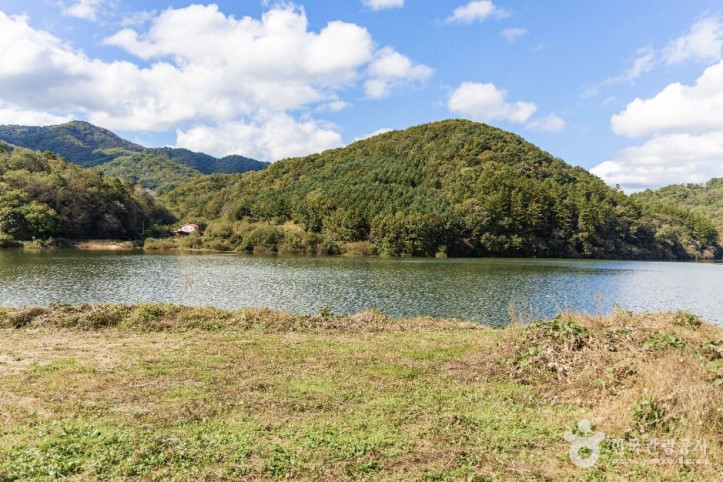 충도저수지 여행 추천 - 메고지고