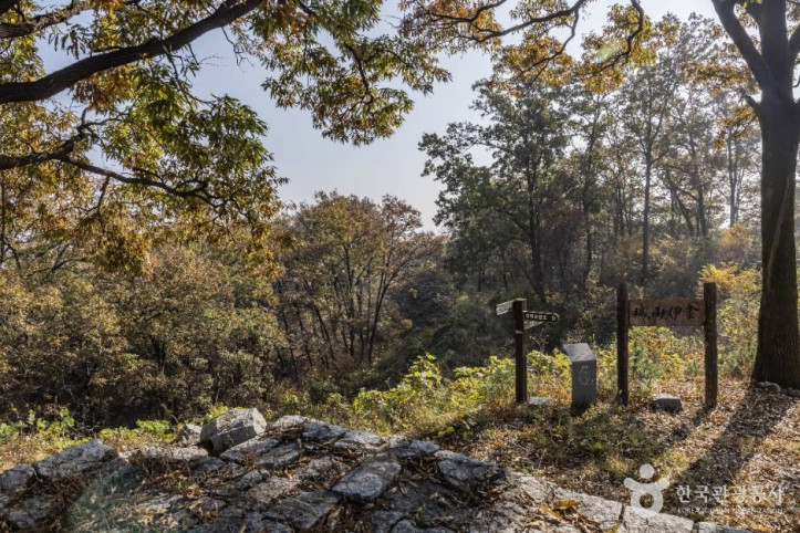 금이성 여행 추천 - 메고지고
