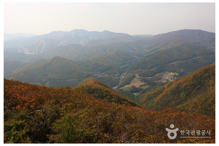 매봉산 여행 추천 - 메고지고