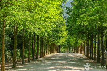 법장사(대구) 여행 추천 - 메고지고